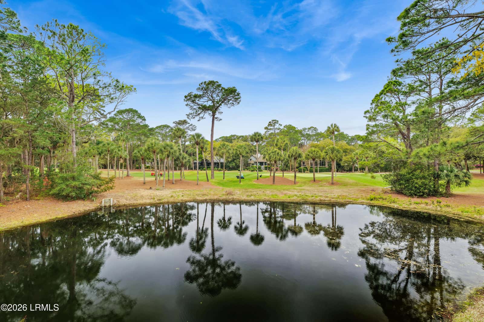 8 Long Brow Road, Hilton Head Island, SC 29928 — photo 92 of 94