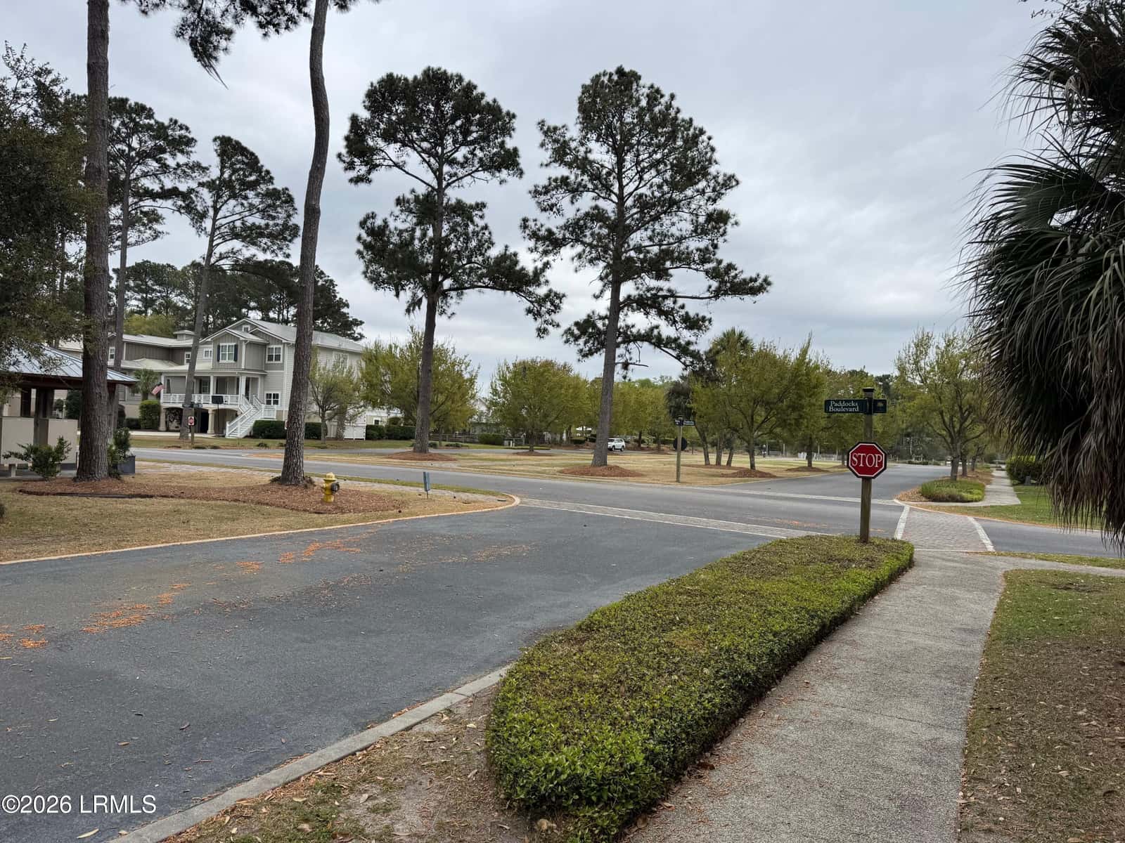 24 Welsh Pony Circle, Hilton Head Island, SC 29926 — photo 1 of 6