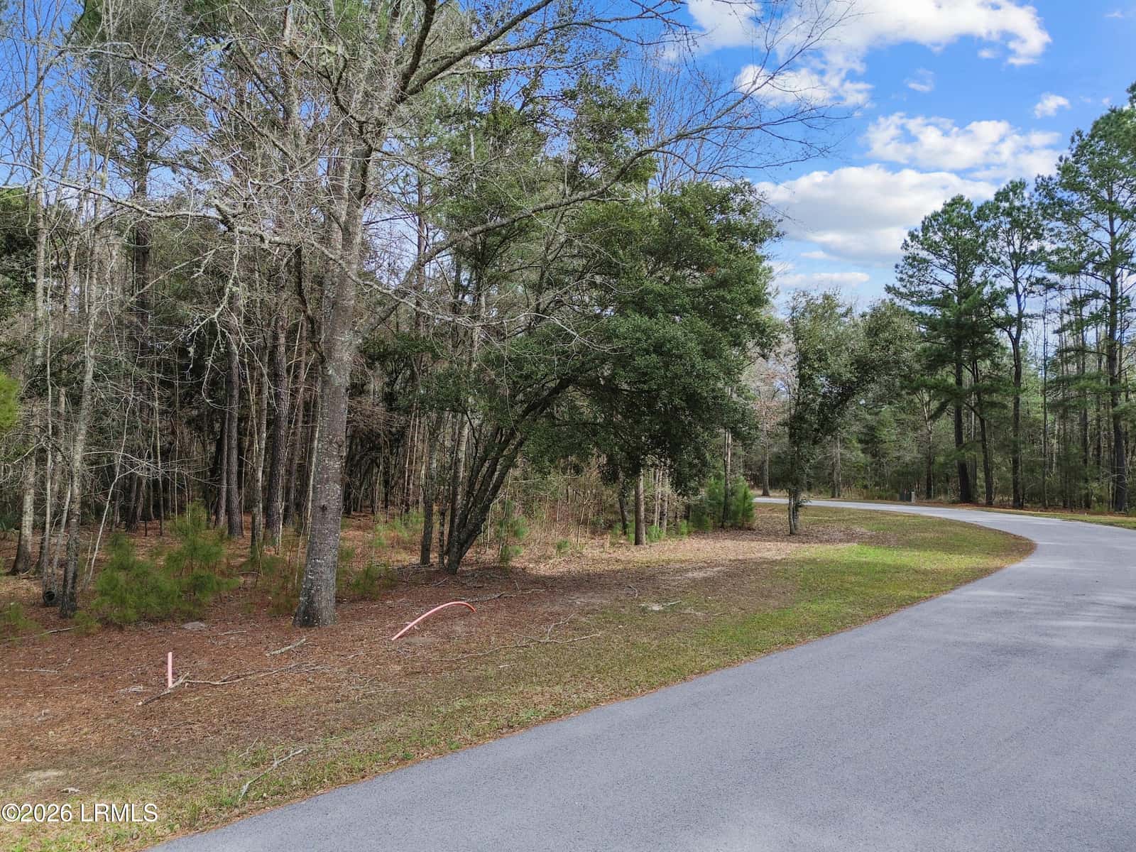 125 Twickenham Loop, Yemassee, SC 29945 — photo 11 of 12