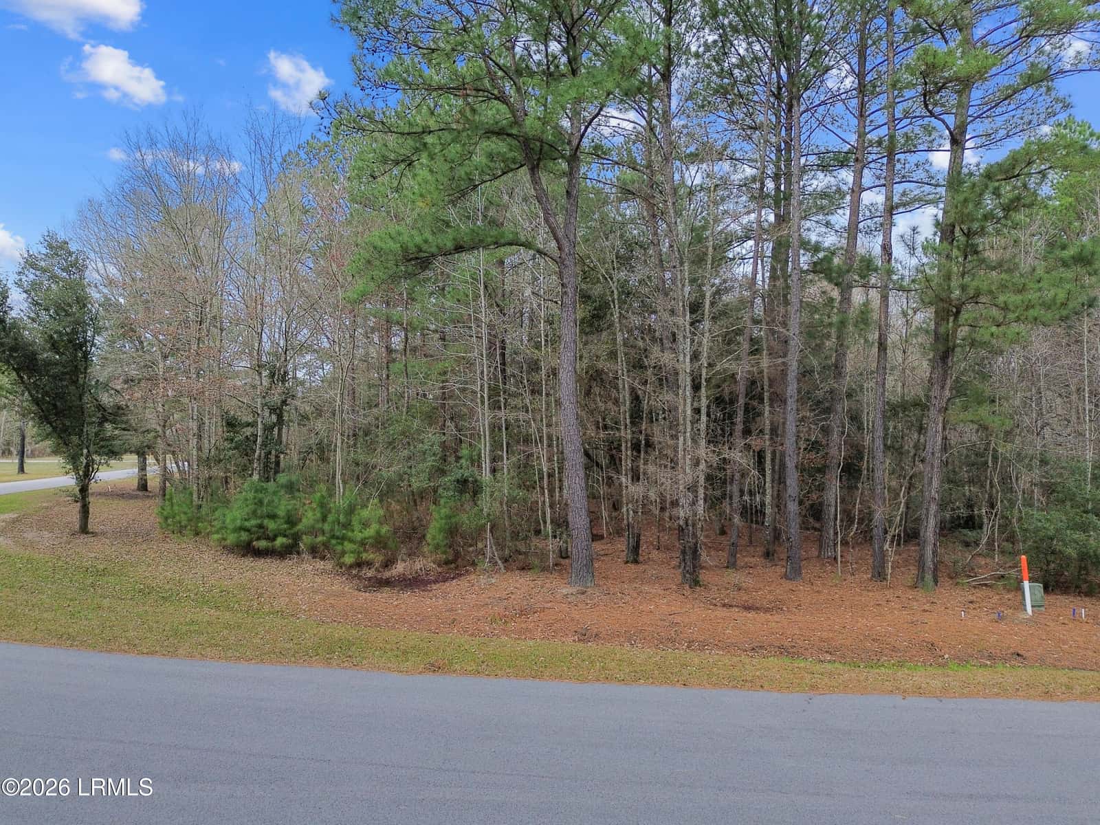 125 Twickenham Loop, Yemassee, SC 29945 — photo 12 of 12