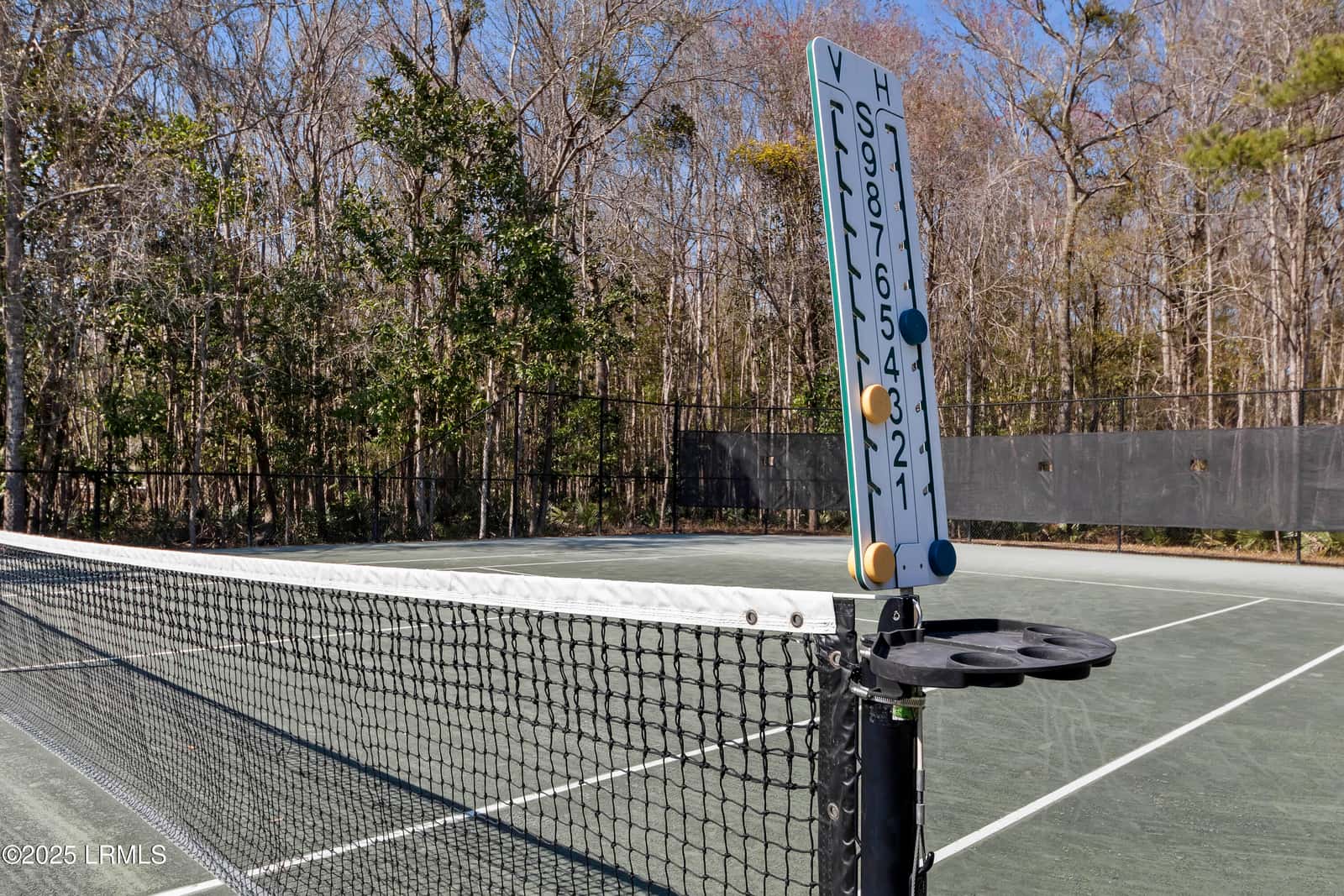 10 Lakewood Court, Bluffton, SC 29910 — photo 42 of 59