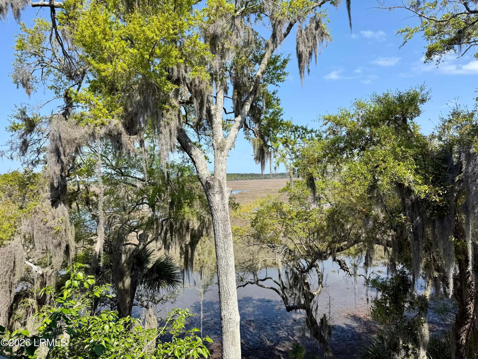 2201 Boundary Street 311, Beaufort, SC 29902 — photo 15 of 15