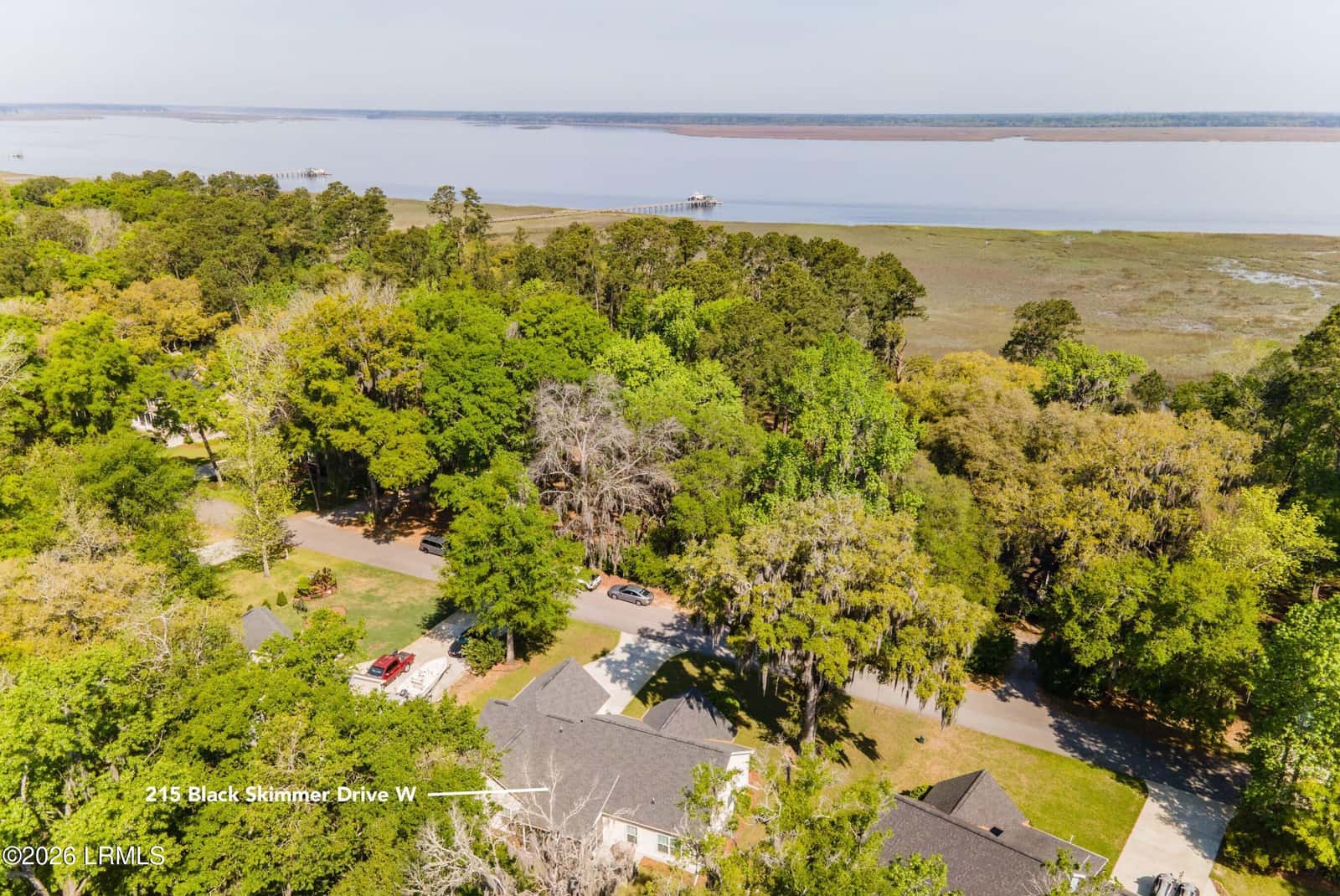 215 Black Skimmer Drive W, Beaufort, SC 29907 — photo 3 of 25