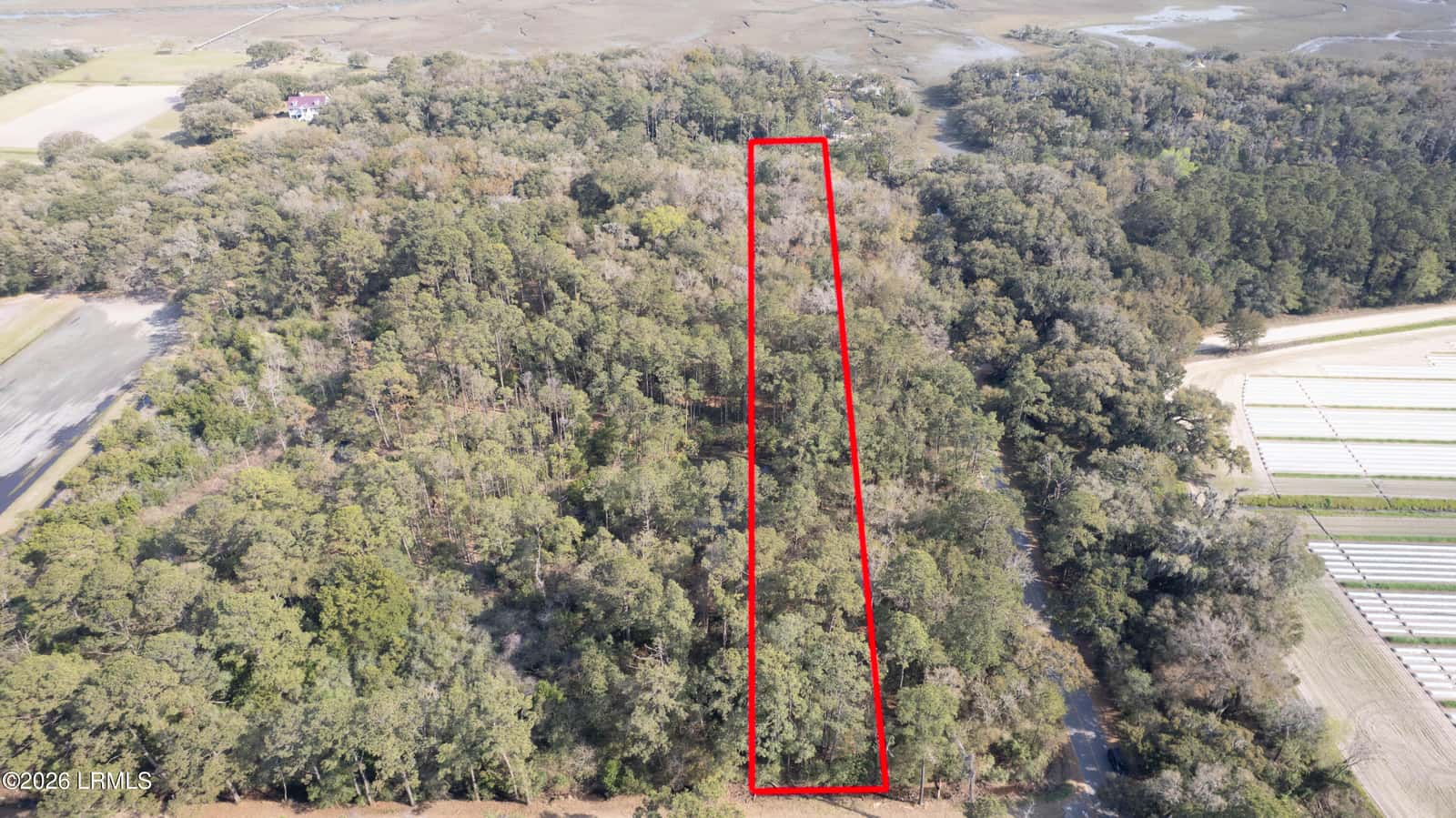 00 Molly Hill Road, St. Helena Island, SC 29920 — photo 3 of 23