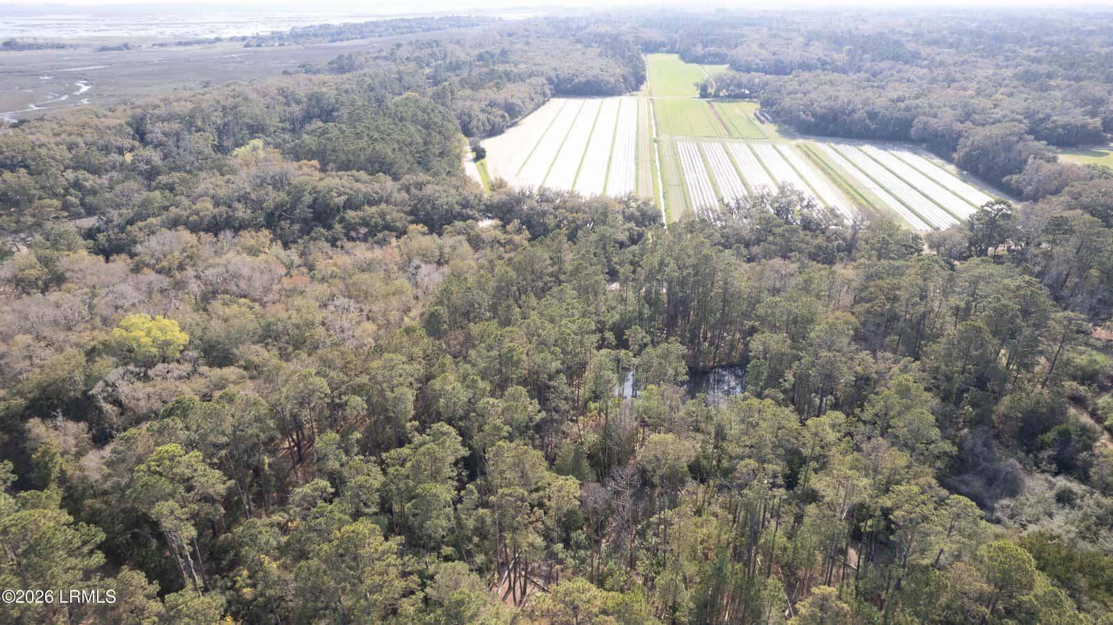 00 Molly Hill Road, St. Helena Island, SC 29920 — photo 7 of 23