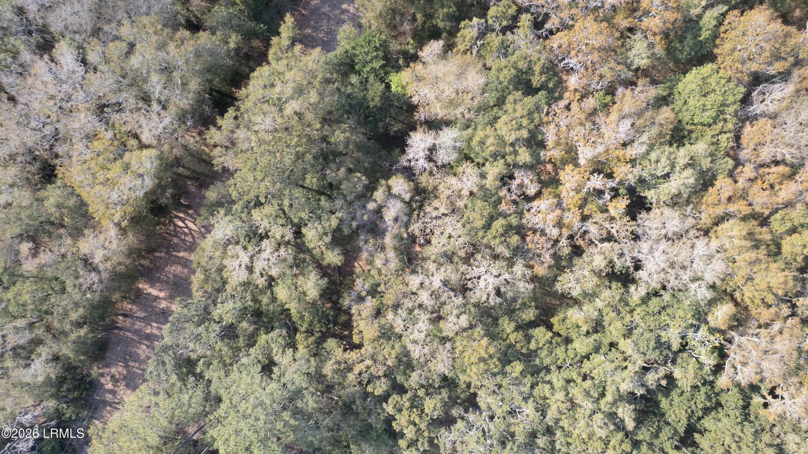 00 Molly Hill Road, St. Helena Island, SC 29920 — photo 9 of 23