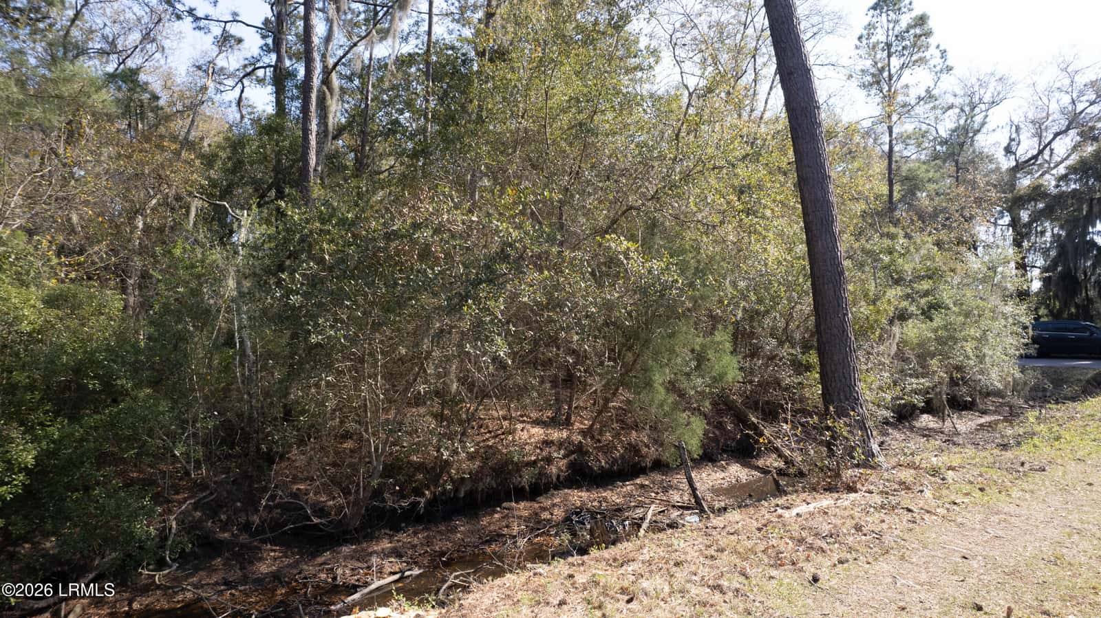 00 Molly Hill Road, St. Helena Island, SC 29920 — photo 10 of 23