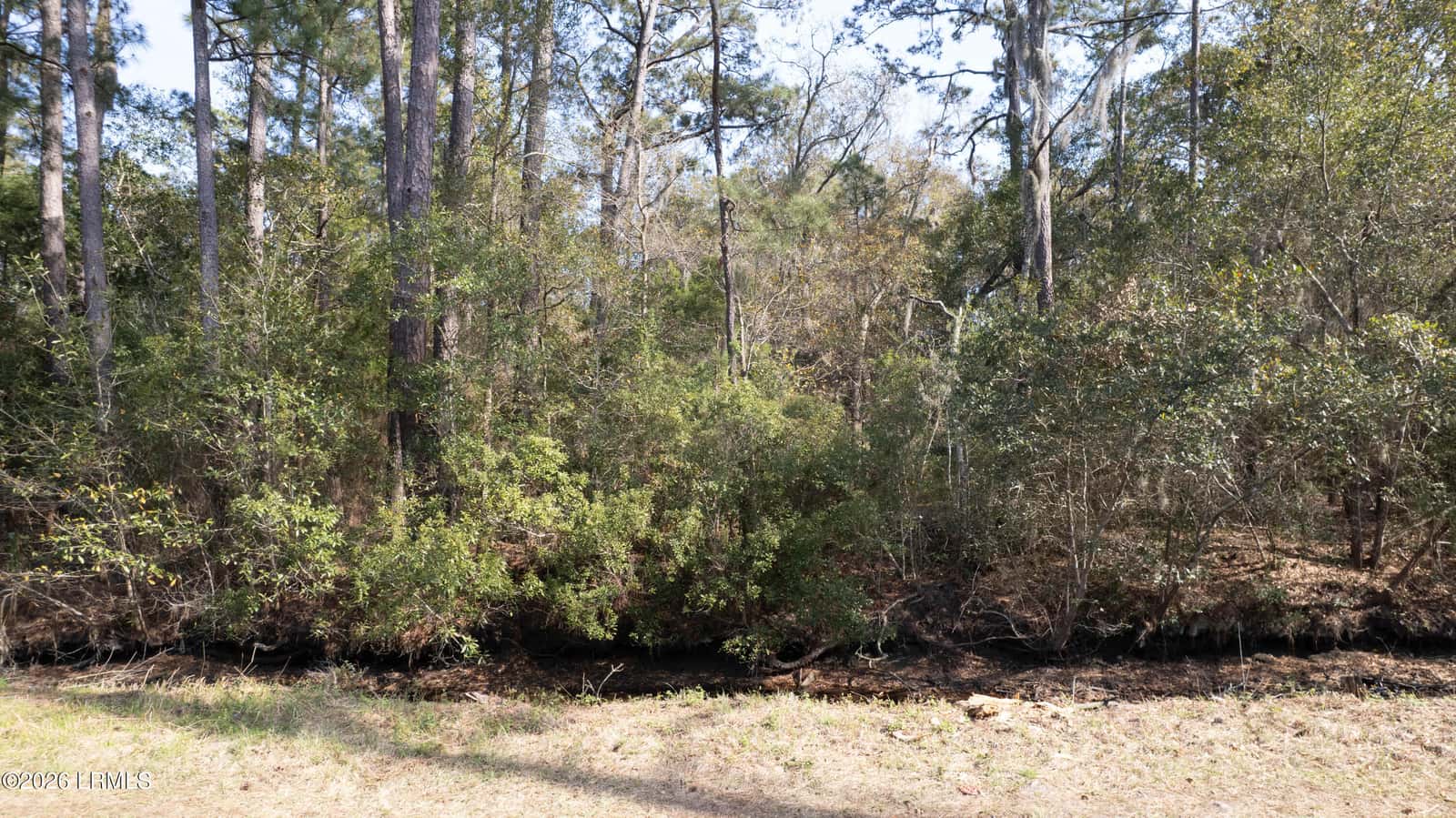 00 Molly Hill Road, St. Helena Island, SC 29920 — photo 11 of 23