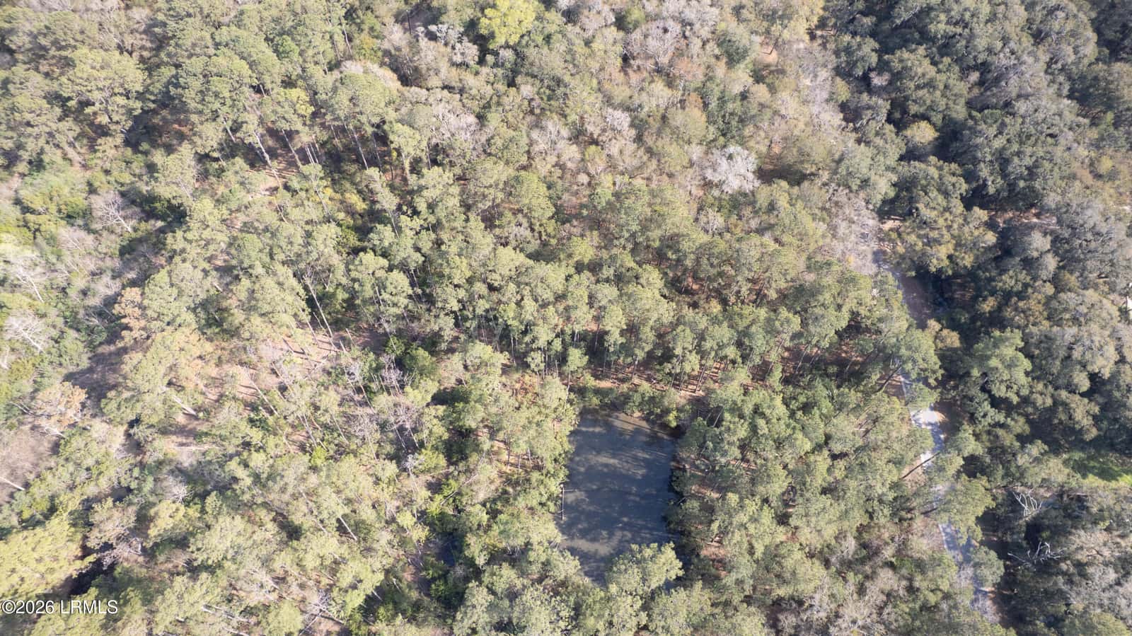 00 Molly Hill Road, St. Helena Island, SC 29920 — photo 13 of 23