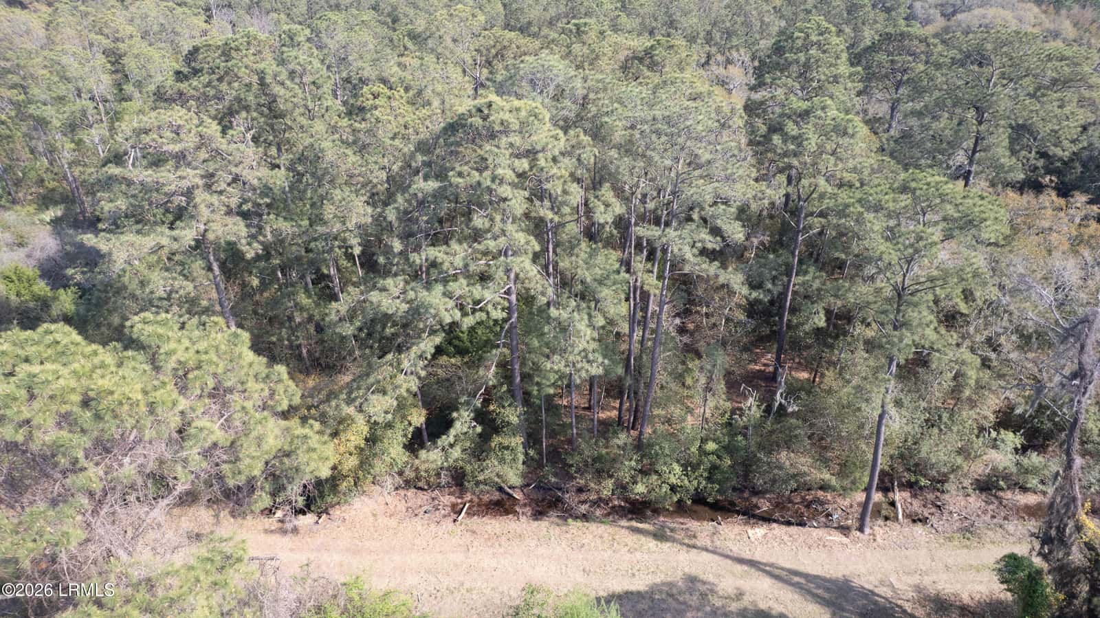 00 Molly Hill Road, St. Helena Island, SC 29920 — photo 15 of 23