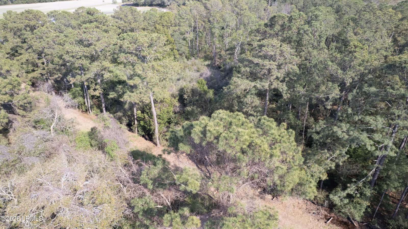 00 Molly Hill Road, St. Helena Island, SC 29920 — photo 16 of 23