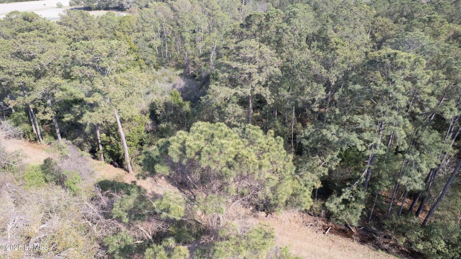 00 Molly Hill Road, St. Helena Island, SC 29920 — photo 17 of 23