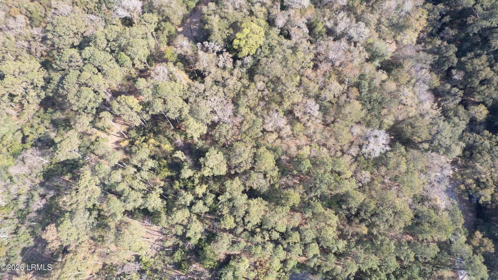 00 Molly Hill Road, St. Helena Island, SC 29920 — photo 22 of 23