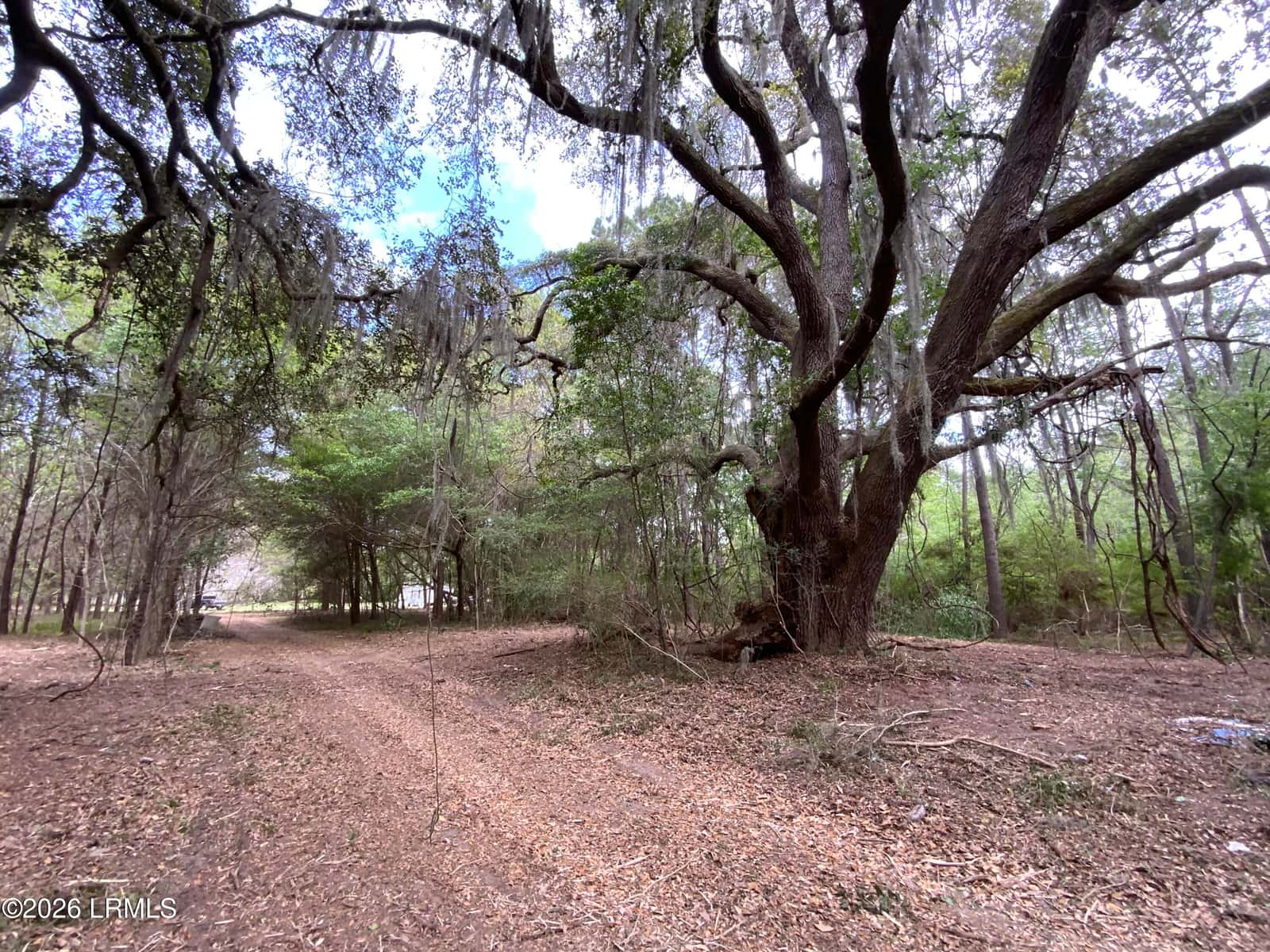 33 Pearl Harbor Lane, St. Helena Island, SC 29920 — photo 2 of 5