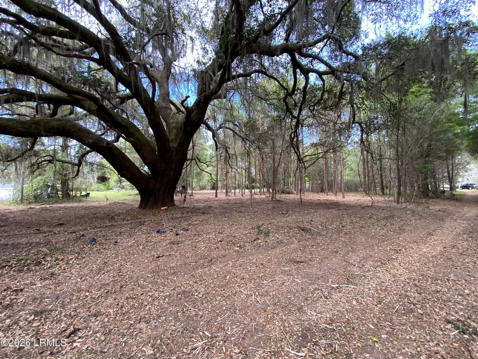 33 Pearl Harbor Lane, St. Helena Island, SC 29920 — photo 3 of 5