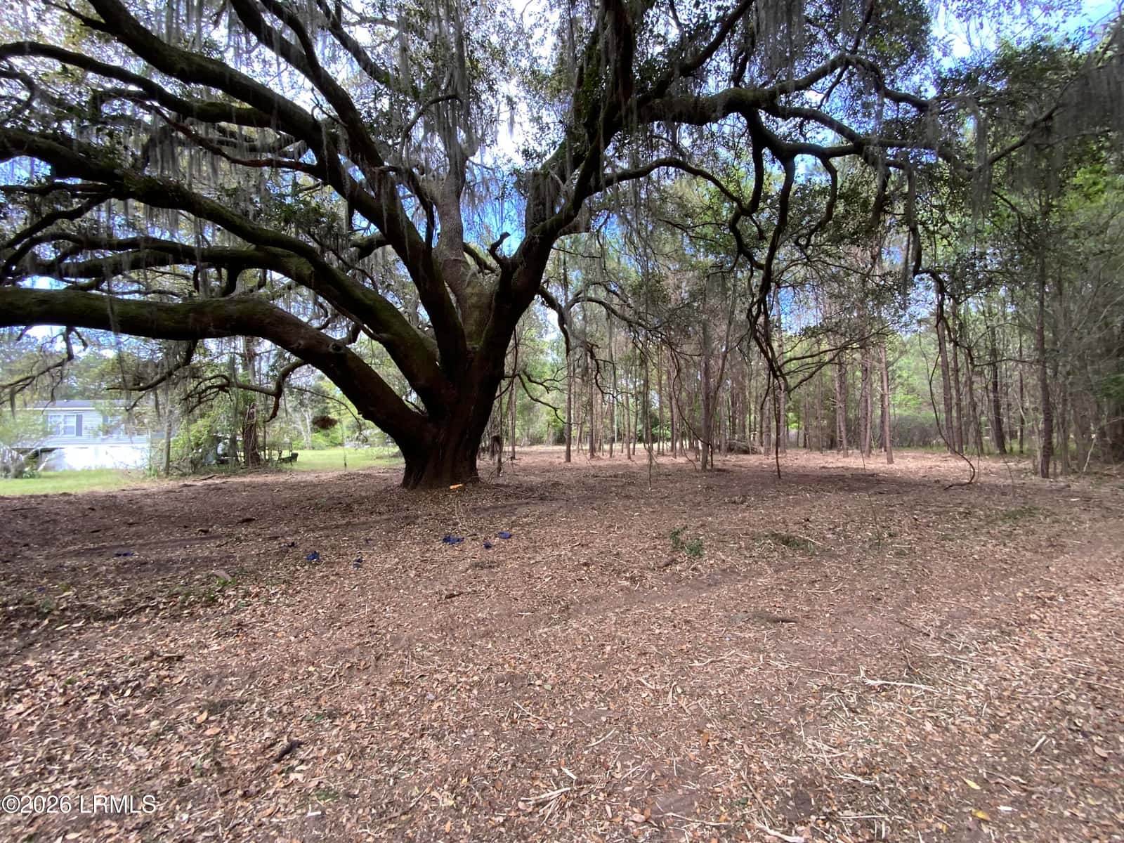 33 Pearl Harbor Lane, St. Helena Island, SC 29920 — photo 4 of 5