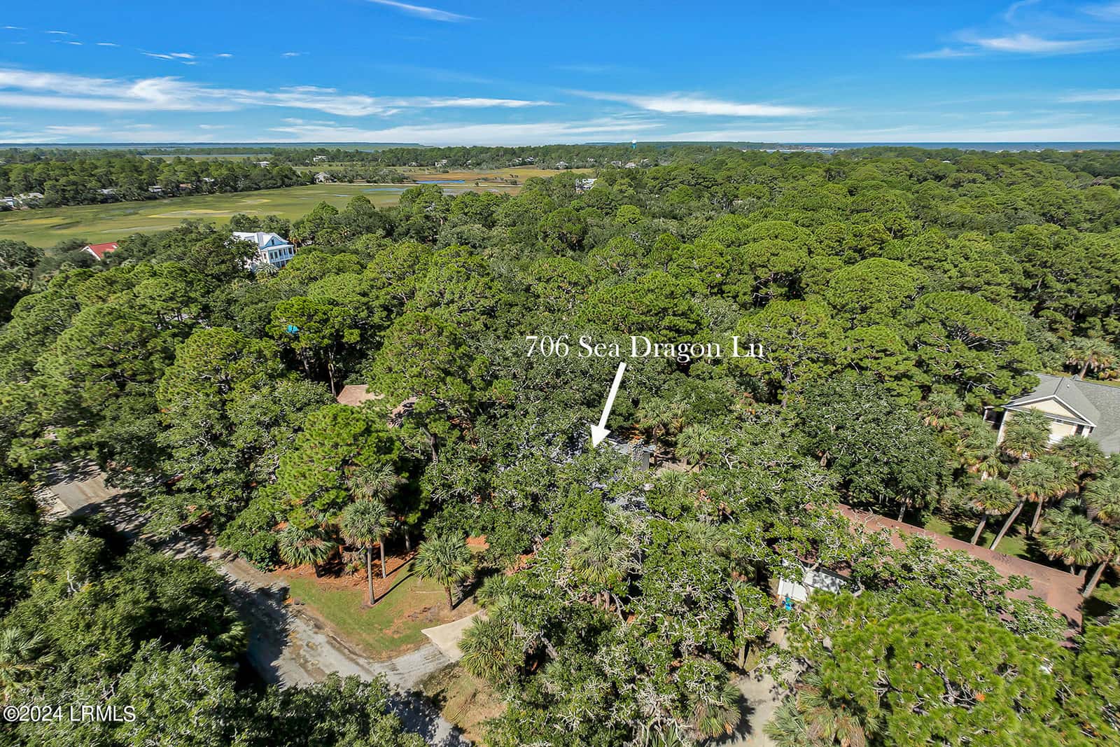 706 Sea Dragon Lane, Fripp Island, SC 29920 — photo 43 of 48