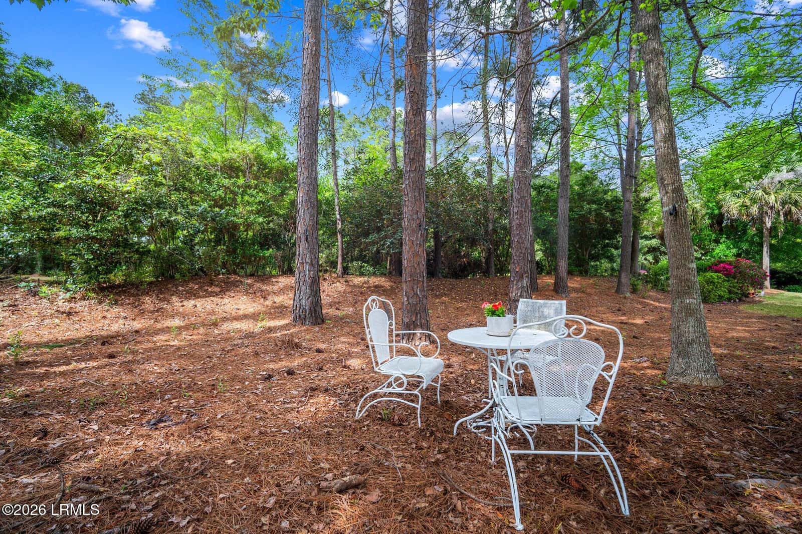 50 Padgett Drive, Bluffton, SC 29909 — photo 18 of 20