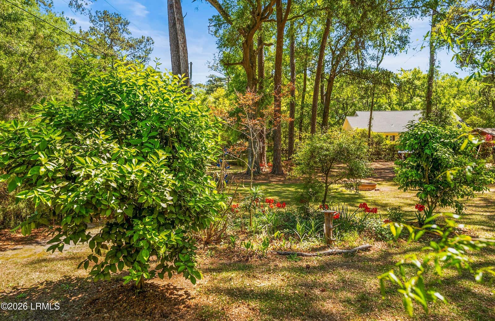 64 Dulamo Bluff, St. Helena Island, SC 29920 — photo 43 of 74