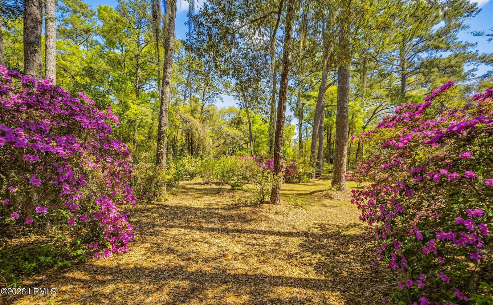 64 Dulamo Bluff, St. Helena Island, SC 29920 — photo 45 of 74