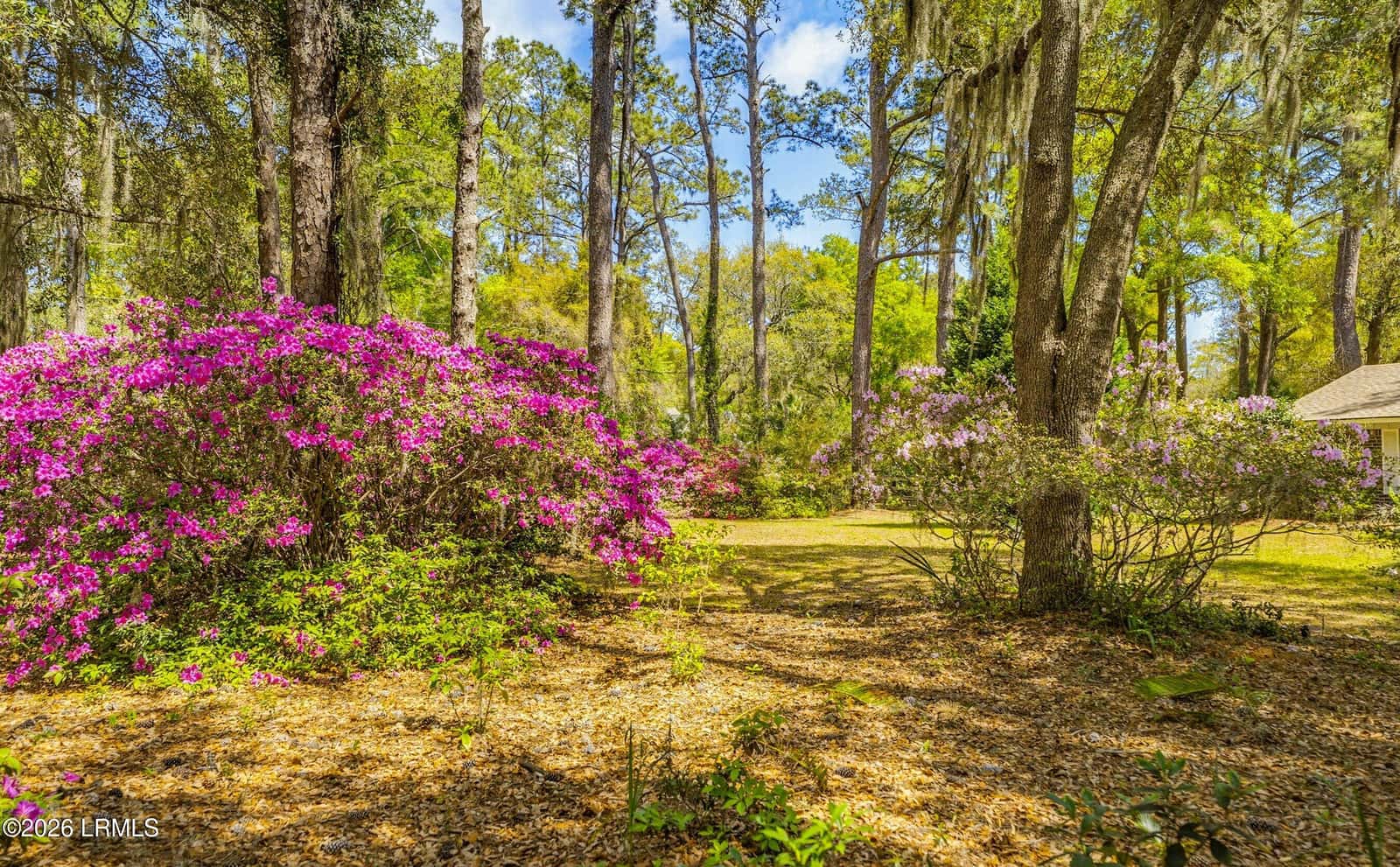 64 Dulamo Bluff, St. Helena Island, SC 29920 — photo 62 of 74