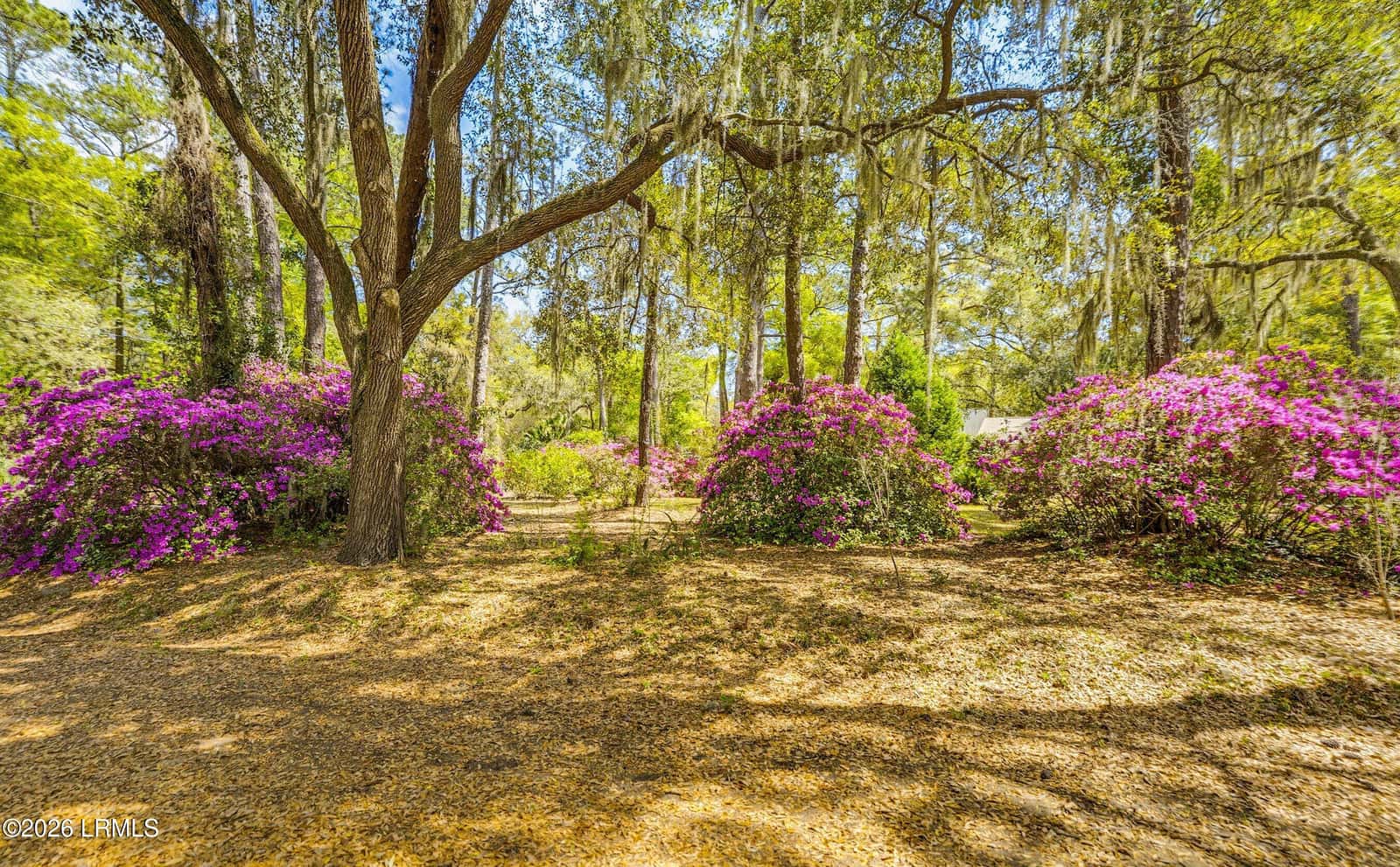 64 Dulamo Bluff, St. Helena Island, SC 29920 — photo 63 of 74