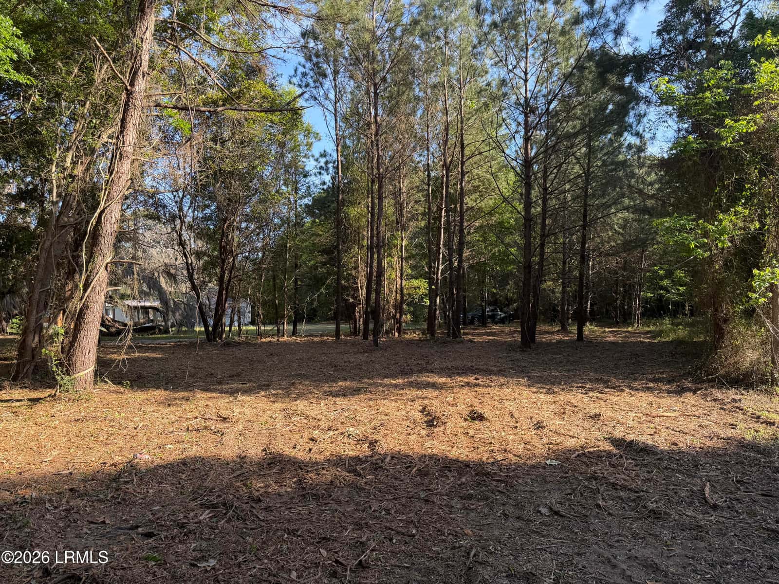 41 Pearl Harbor Lane, St. Helena Island, SC 29920 — photo 3 of 10