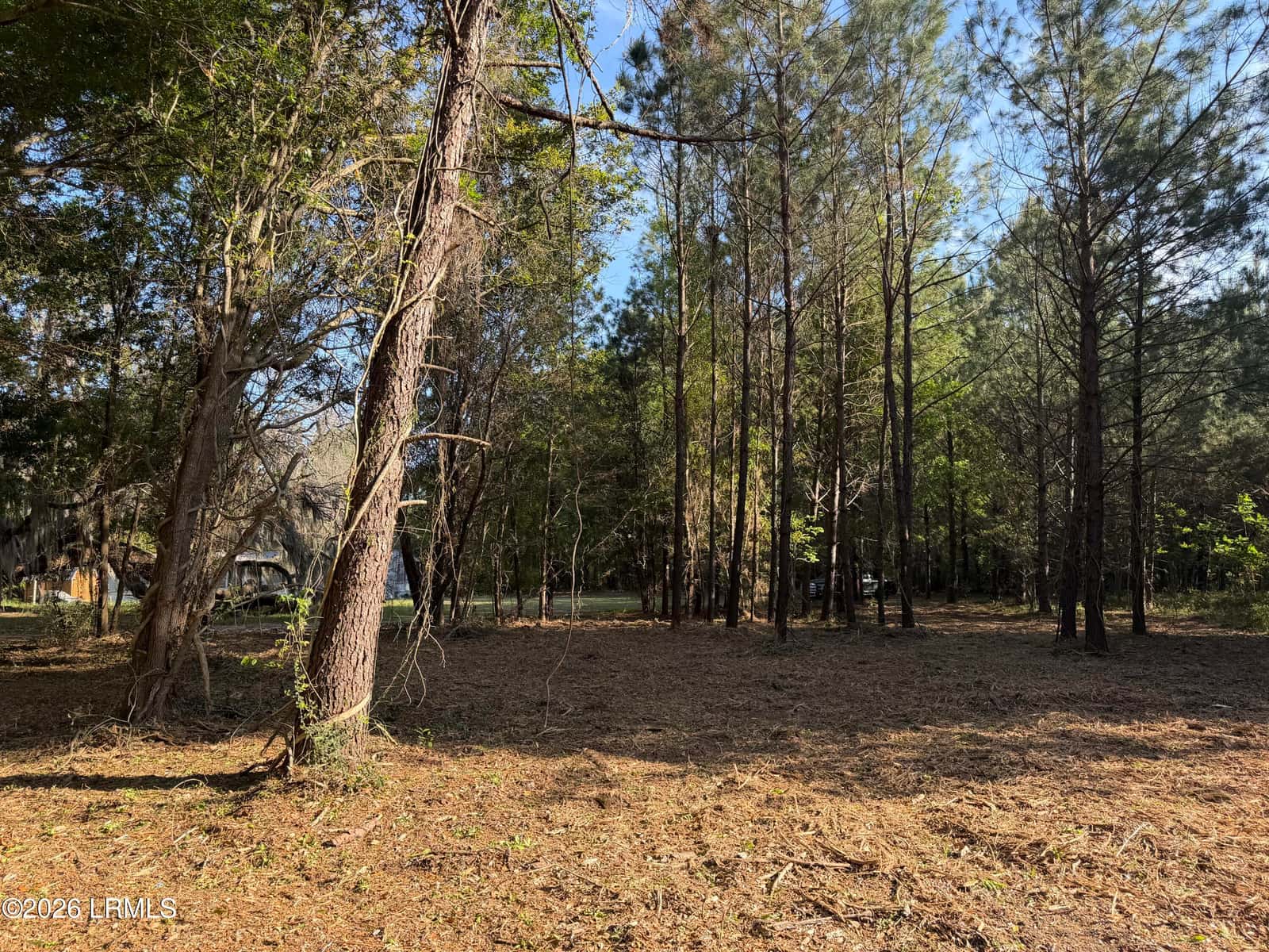 41 Pearl Harbor Lane, St. Helena Island, SC 29920 — photo 5 of 10