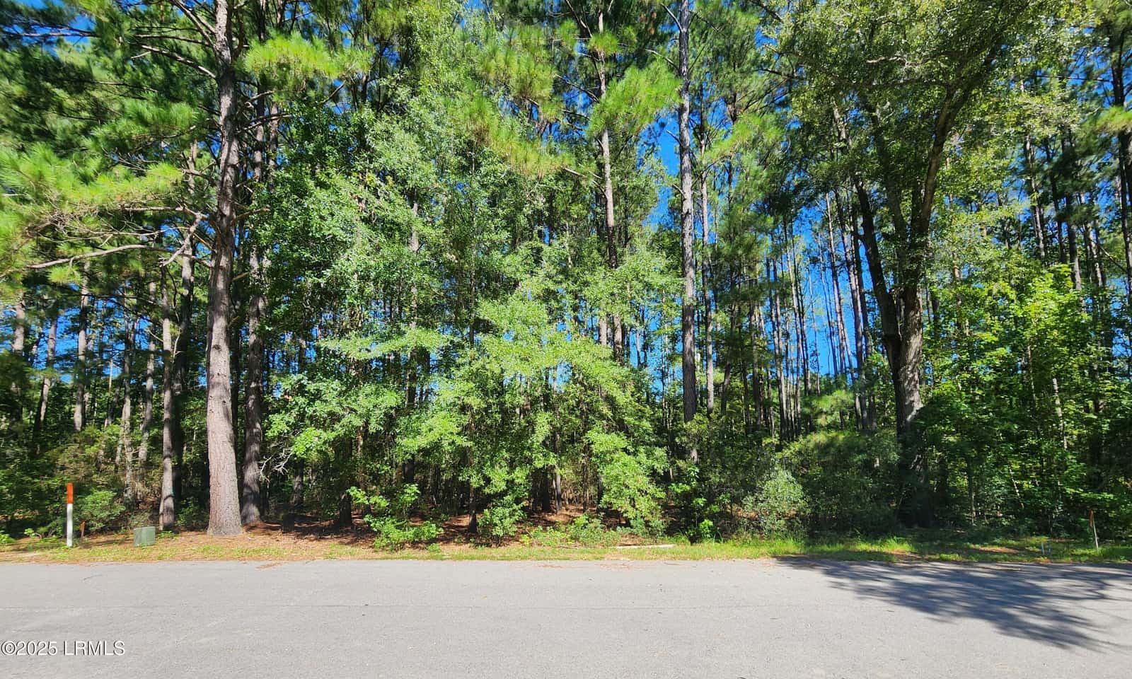 301 Founders Oak Way, Yemassee, SC 29945 — photo 2 of 14