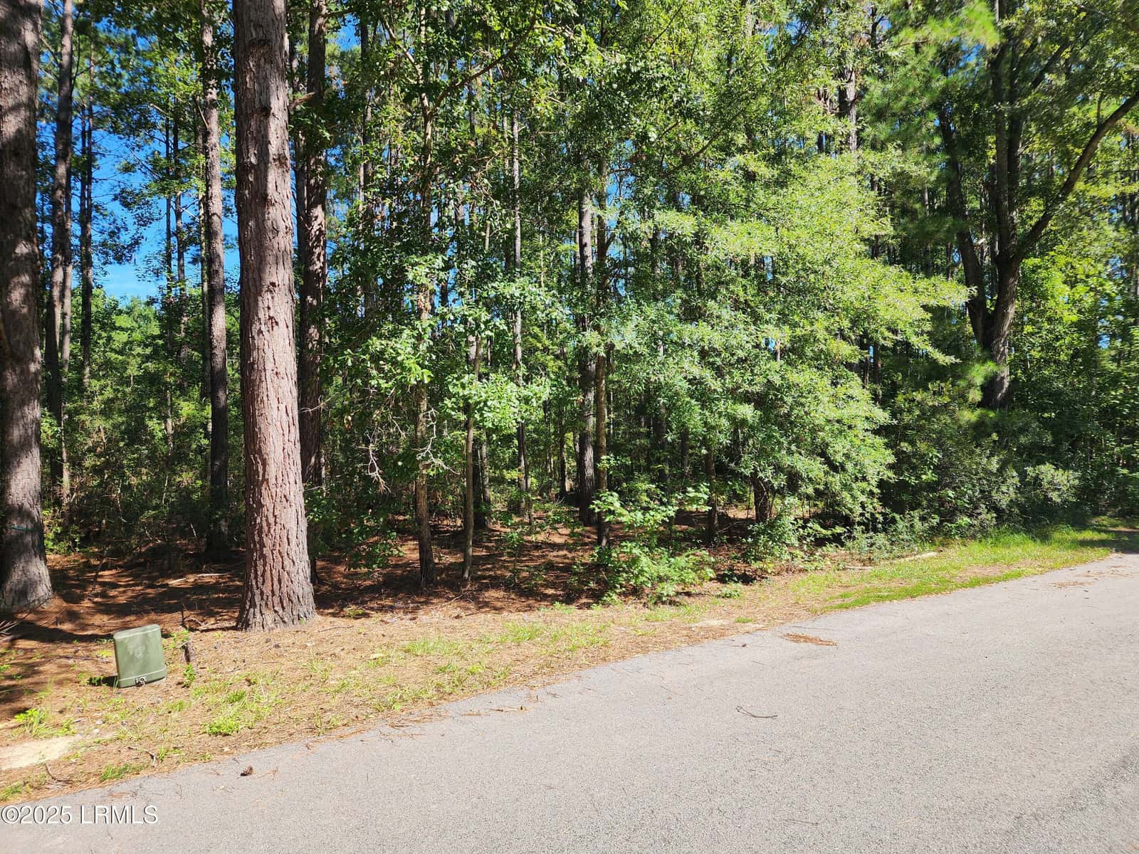 301 Founders Oak Way, Yemassee, SC 29945 — photo 5 of 14