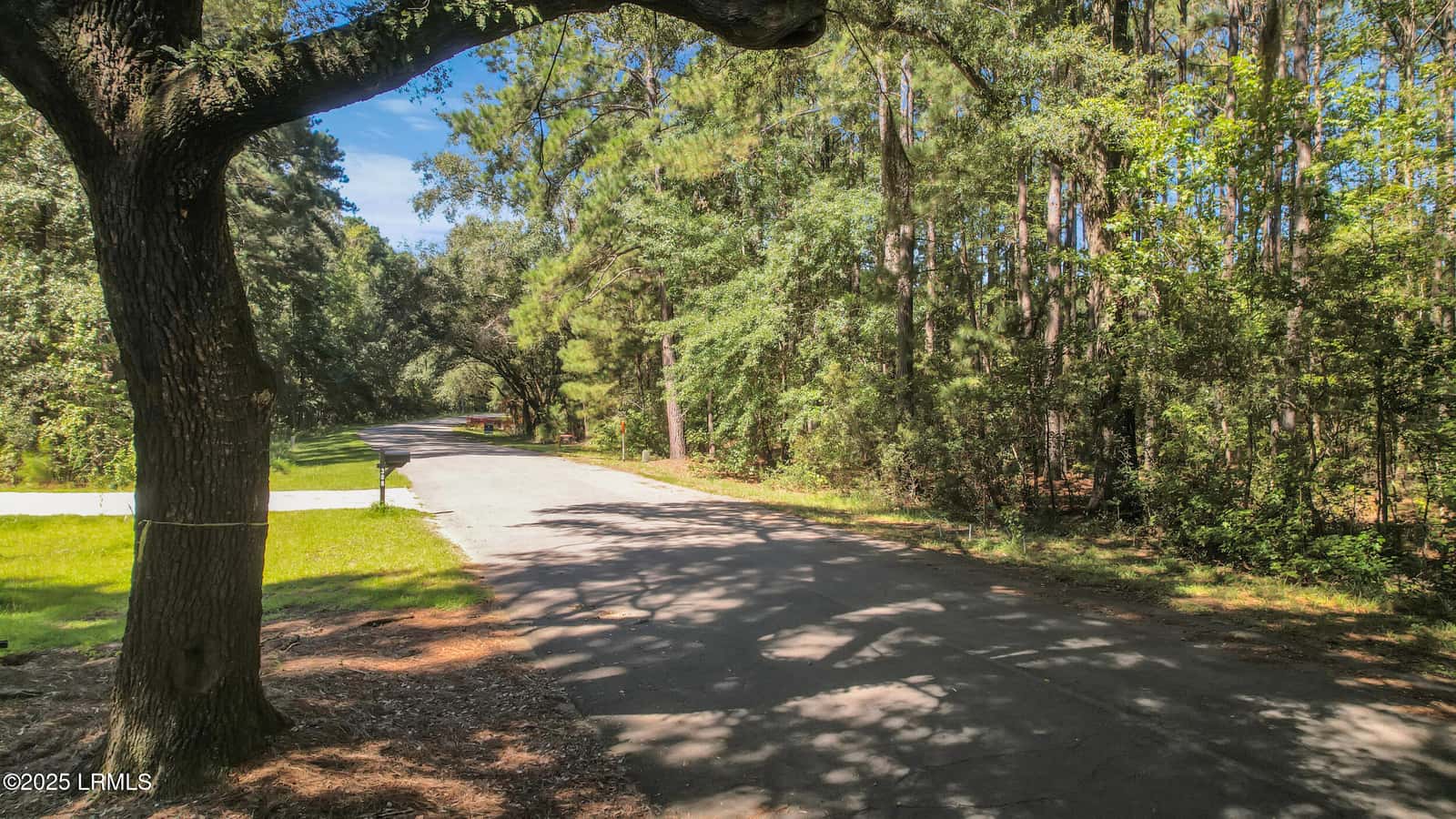 301 Founders Oak Way, Yemassee, SC 29945 — photo 7 of 14