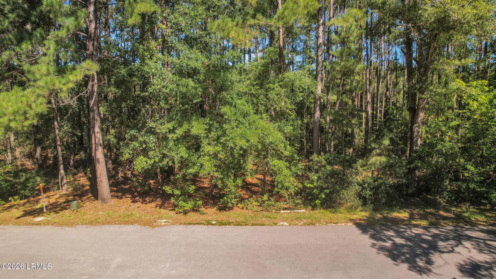 301 Founders Oak Way, Yemassee, SC 29945 — photo 13 of 14