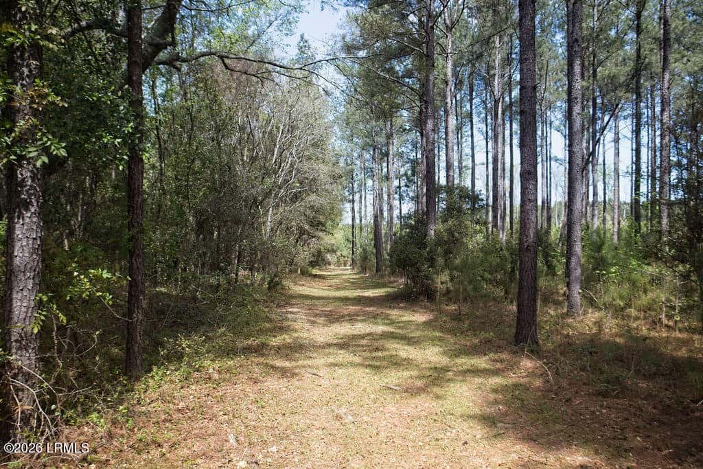 1342 Thomas Hamilton Road, Brunson, SC 29911 — photo 42 of 46
