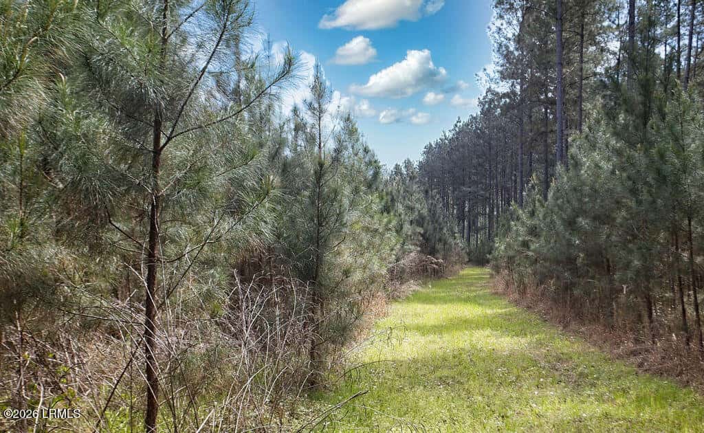 1342 Thomas Hamilton Road, Brunson, SC 29911 — photo 44 of 46