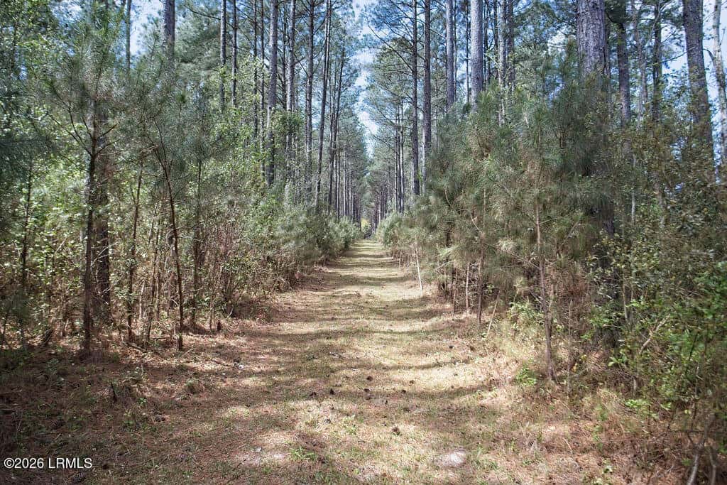 1342 Thomas Hamilton Road, Brunson, SC 29911 — photo 45 of 46