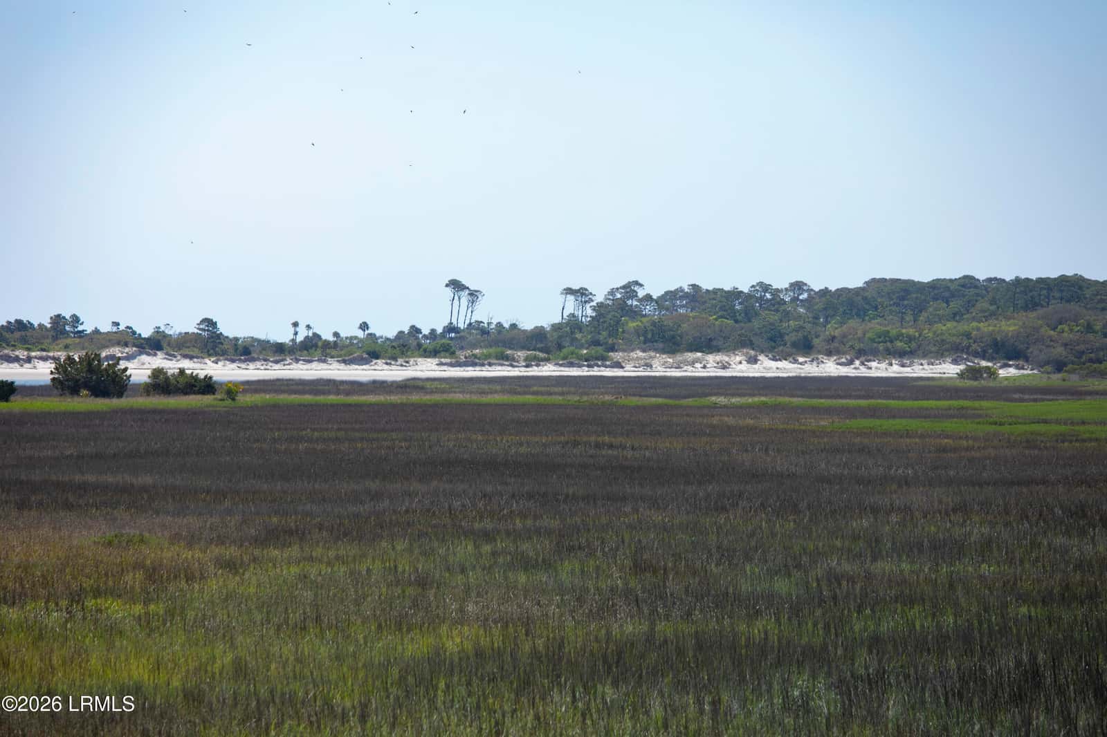 2 Cedar Reef Drive A209, St. Helena Island, SC 29920 — photo 28 of 43