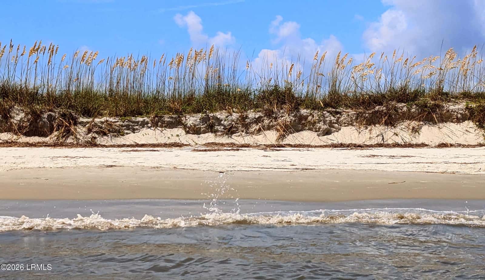 2 Cedar Reef Drive A209, St. Helena Island, SC 29920 — photo 43 of 43