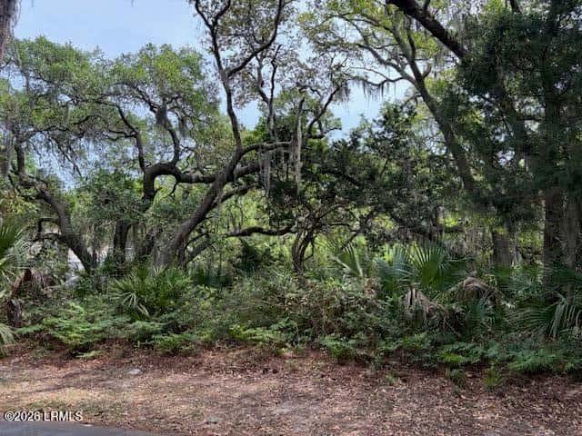 15 Lakeview Lane, Harbor Island, SC 29920 — photo 1 of 6