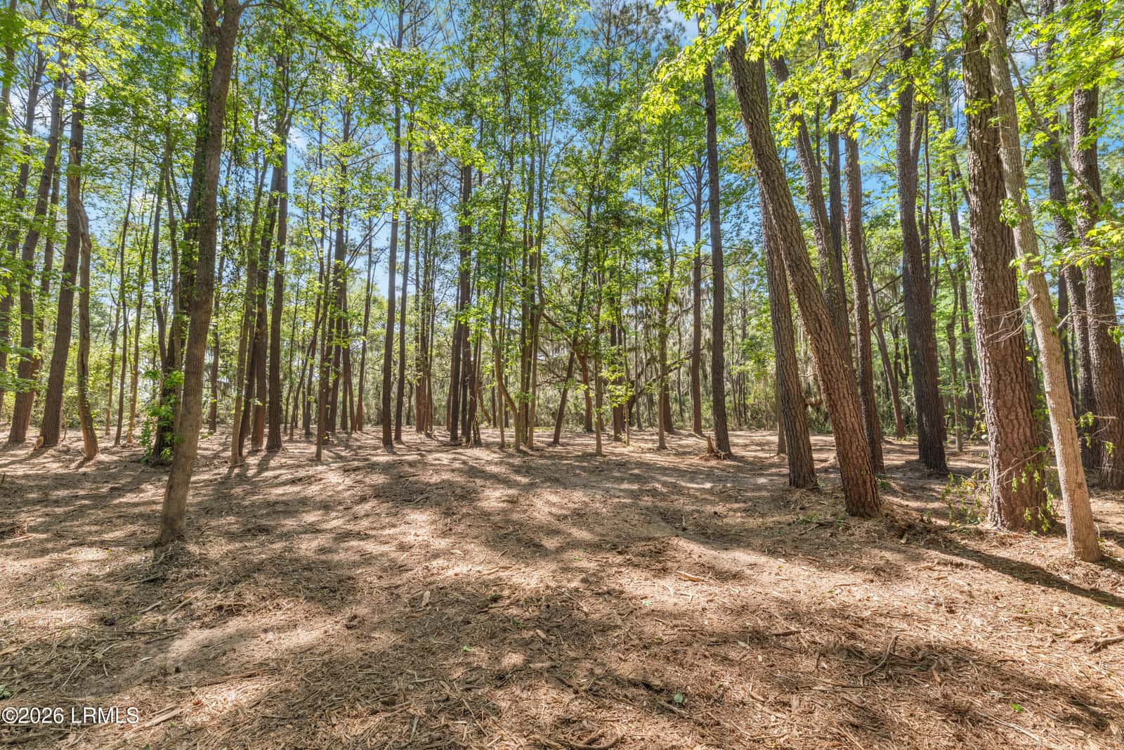 112 Stuart Point Road, Seabrook, SC 29940 — photo 13 of 17
