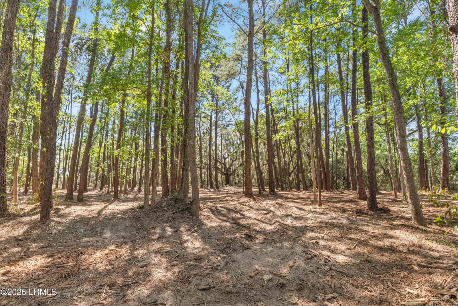 112 Stuart Point Road, Seabrook, SC 29940 — photo 15 of 17