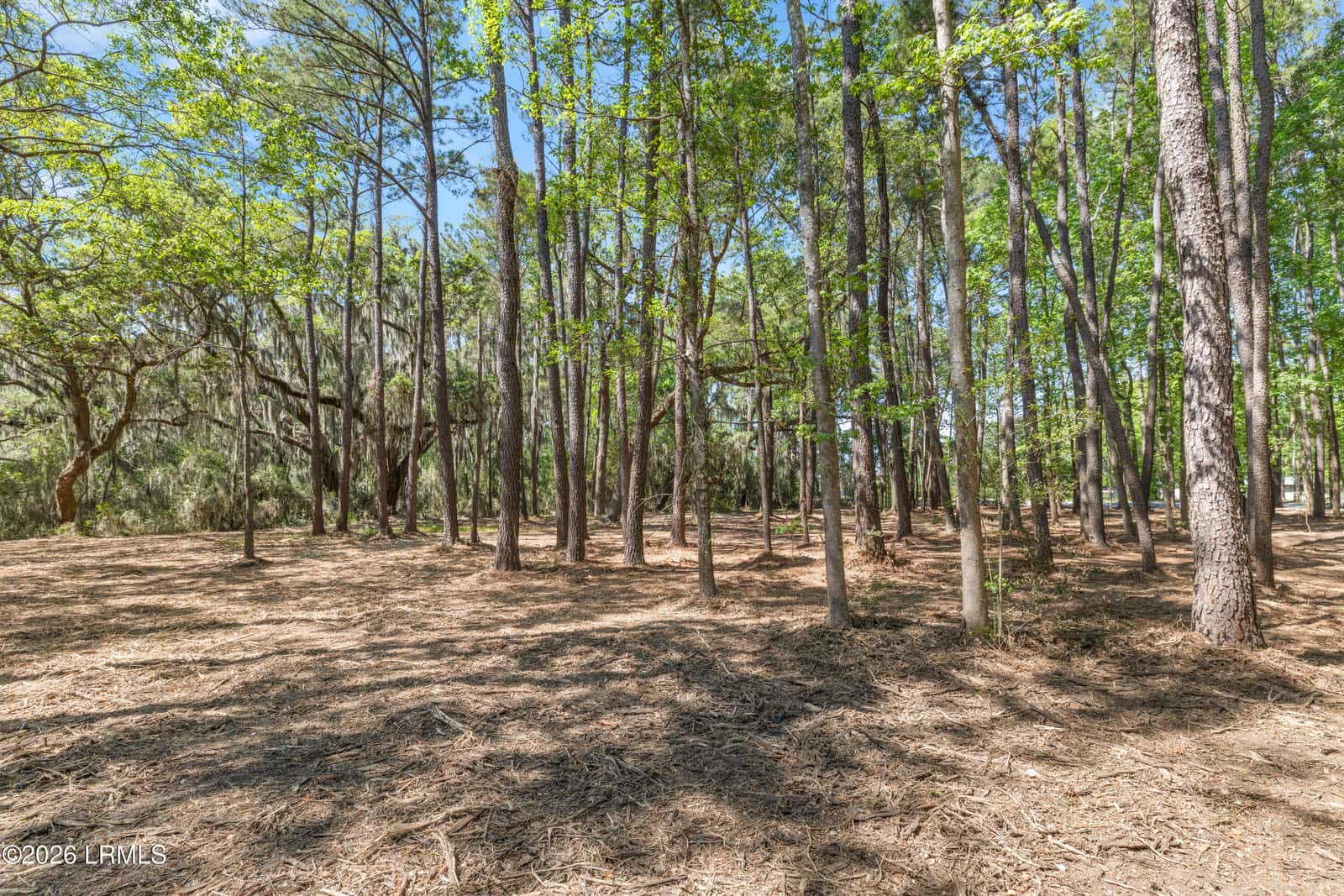 112 Stuart Point Road, Seabrook, SC 29940 — photo 16 of 17