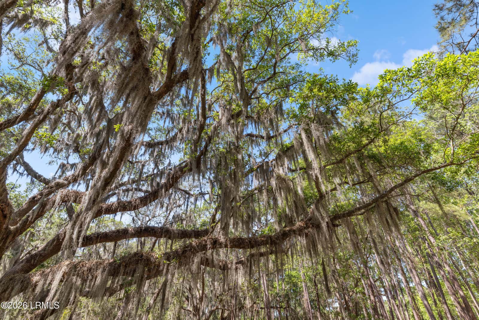 112 Stuart Point Road, Seabrook, SC 29940 — photo 17 of 17
