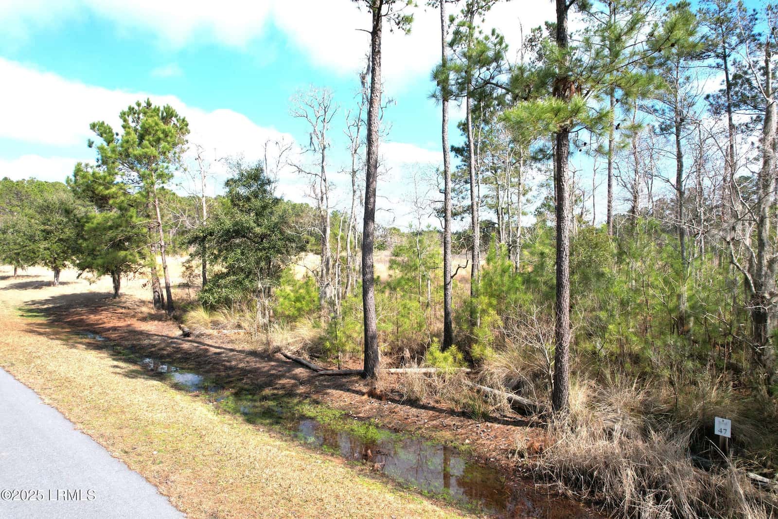 517 Bridle Path Boulevard, Hardeeville, SC 29927 — photo 11 of 18