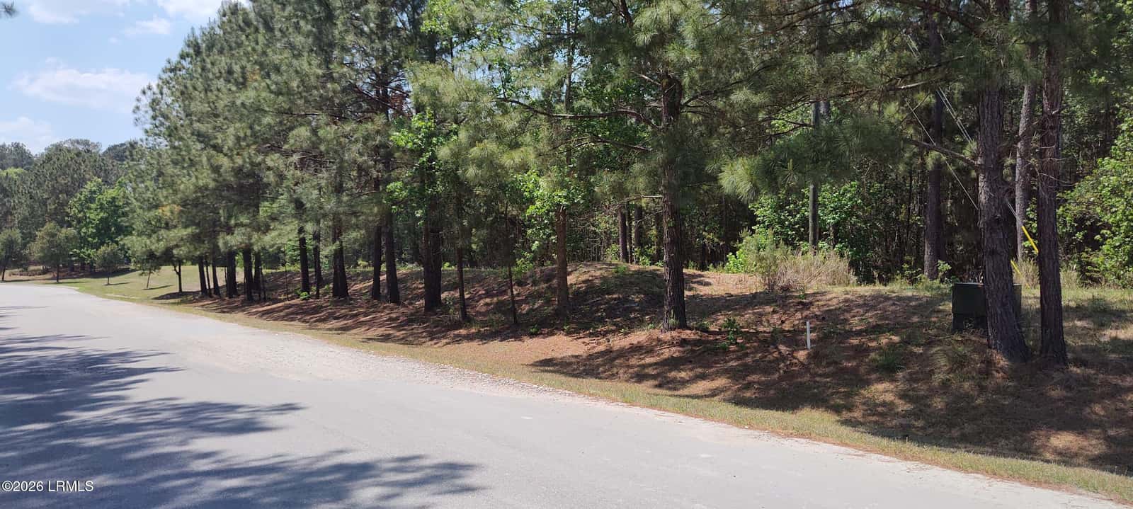 278 Founders Oak Way, Yemassee, SC 29945 — photo 4 of 15