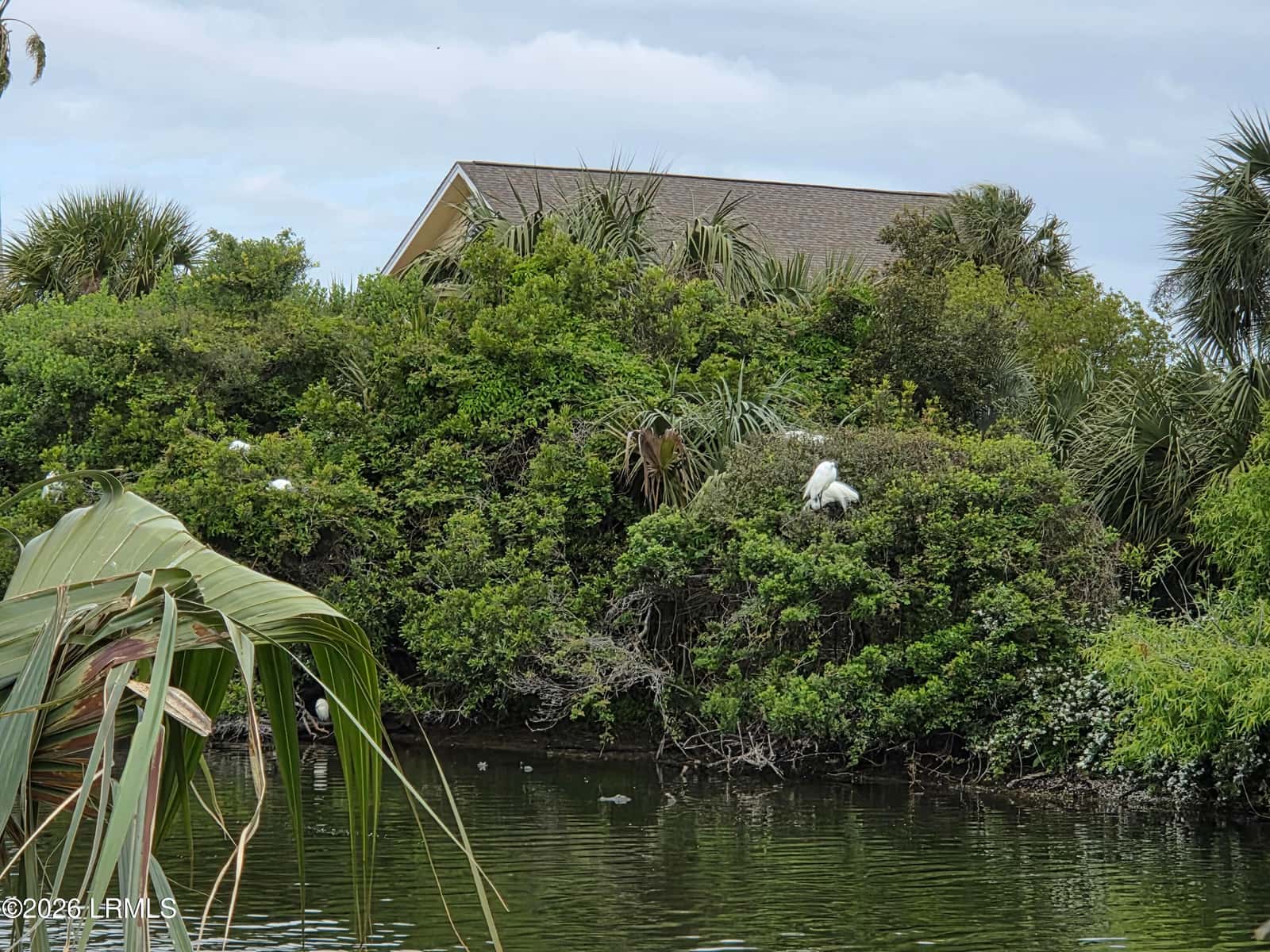 8 Mickeys Alley, Fripp Island, SC 29920 — photo 15 of 15
