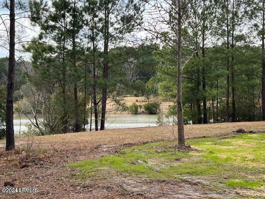 58 Founders Oak Way, Yemassee, SC 29945 — photo 29 of 38