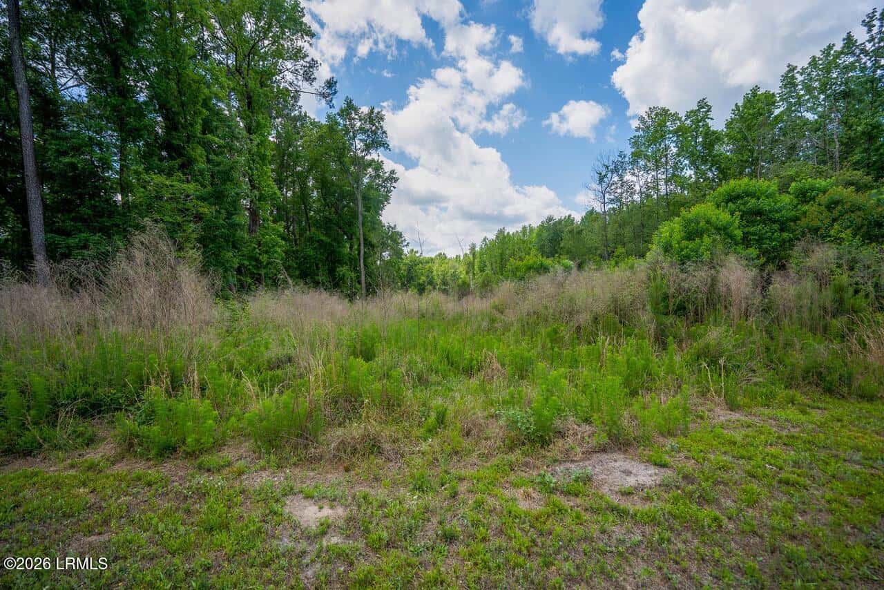 Tbd Evergreen Lane, Walterboro, SC 29488 — photo 11 of 39