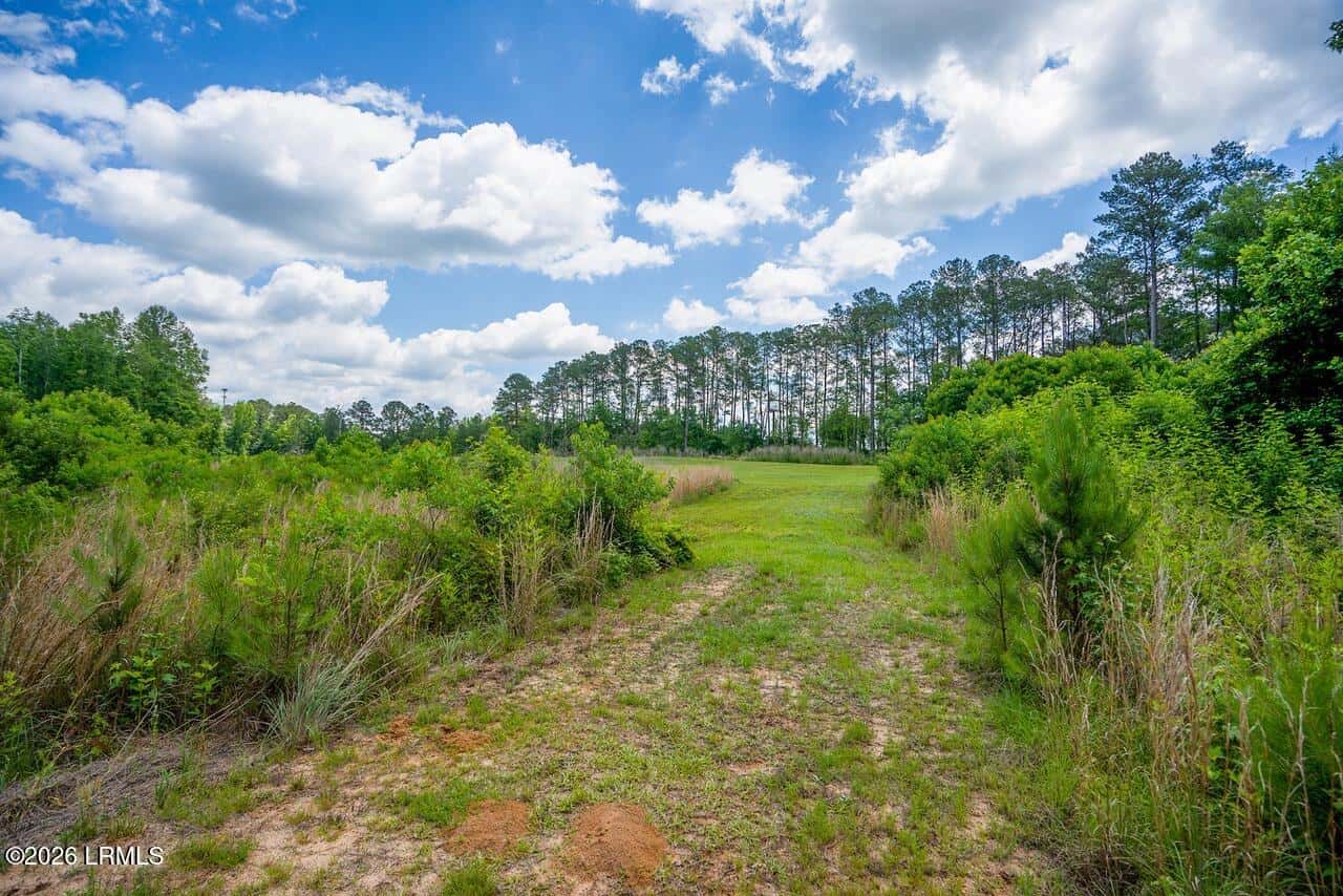 Tbd Evergreen Lane, Walterboro, SC 29488 — photo 13 of 39