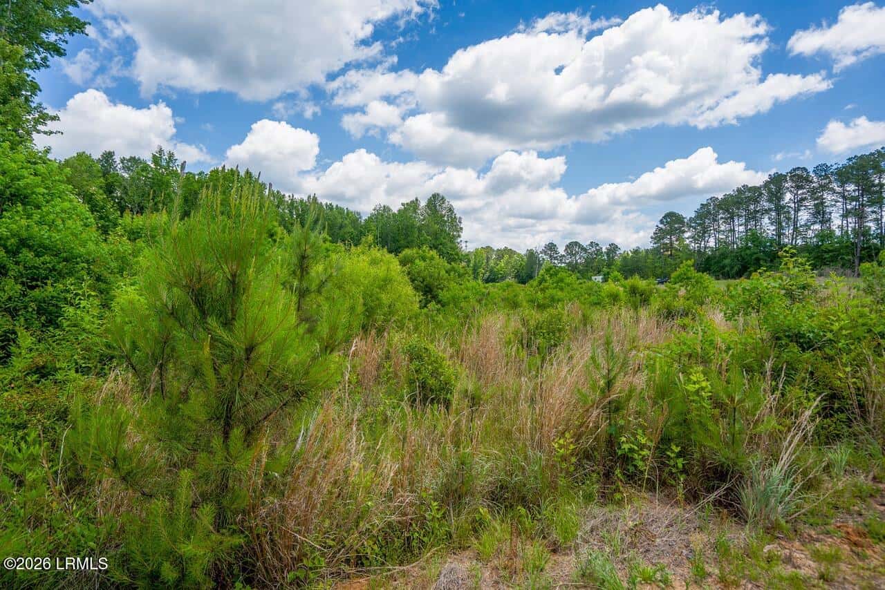 Tbd Evergreen Lane, Walterboro, SC 29488 — photo 14 of 39
