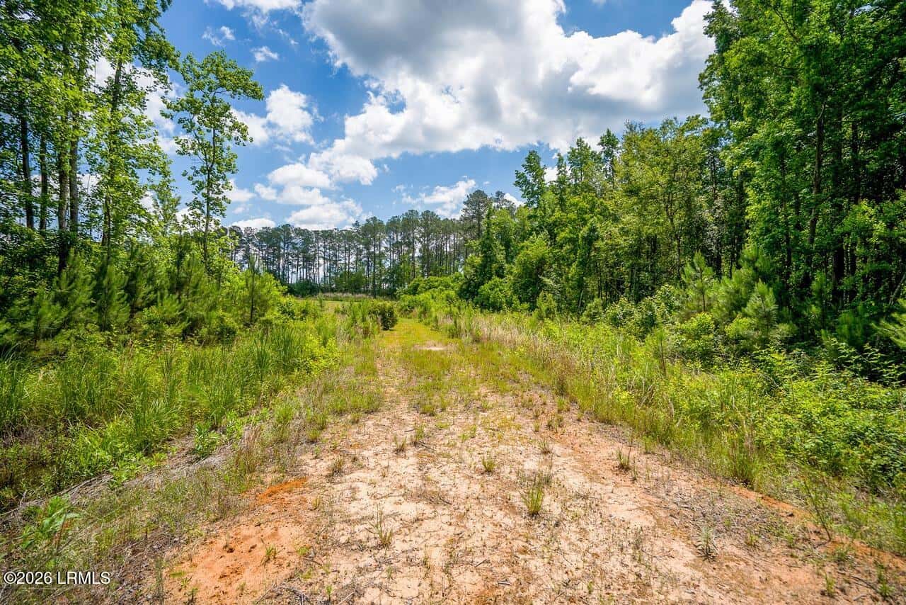 Tbd Evergreen Lane, Walterboro, SC 29488 — photo 15 of 39